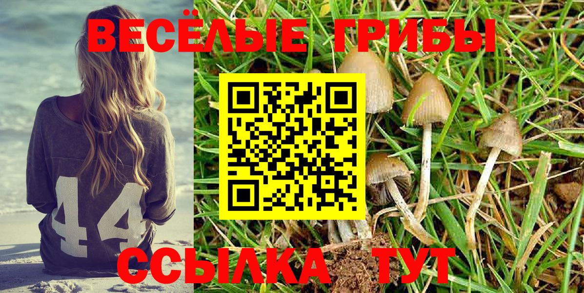 Псилоцибиновые грибы Psilocybe  Галлюциногенные грибы MAGIC MUSHROOMS  Вход с VPN  продажа наркотиков  Полысаево 