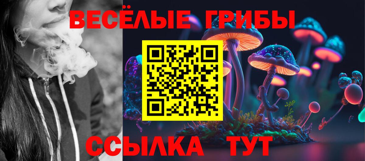 Псилоцибиновые грибы ЛСД Полысаево